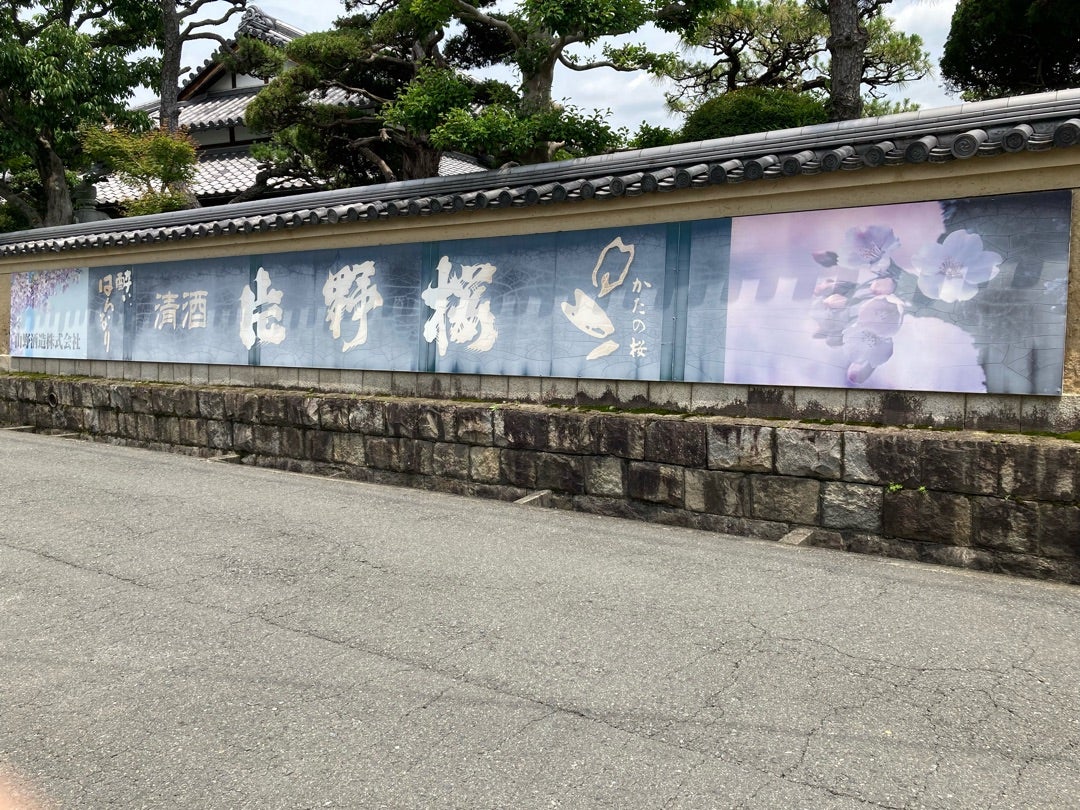 写真:山野酒造さん