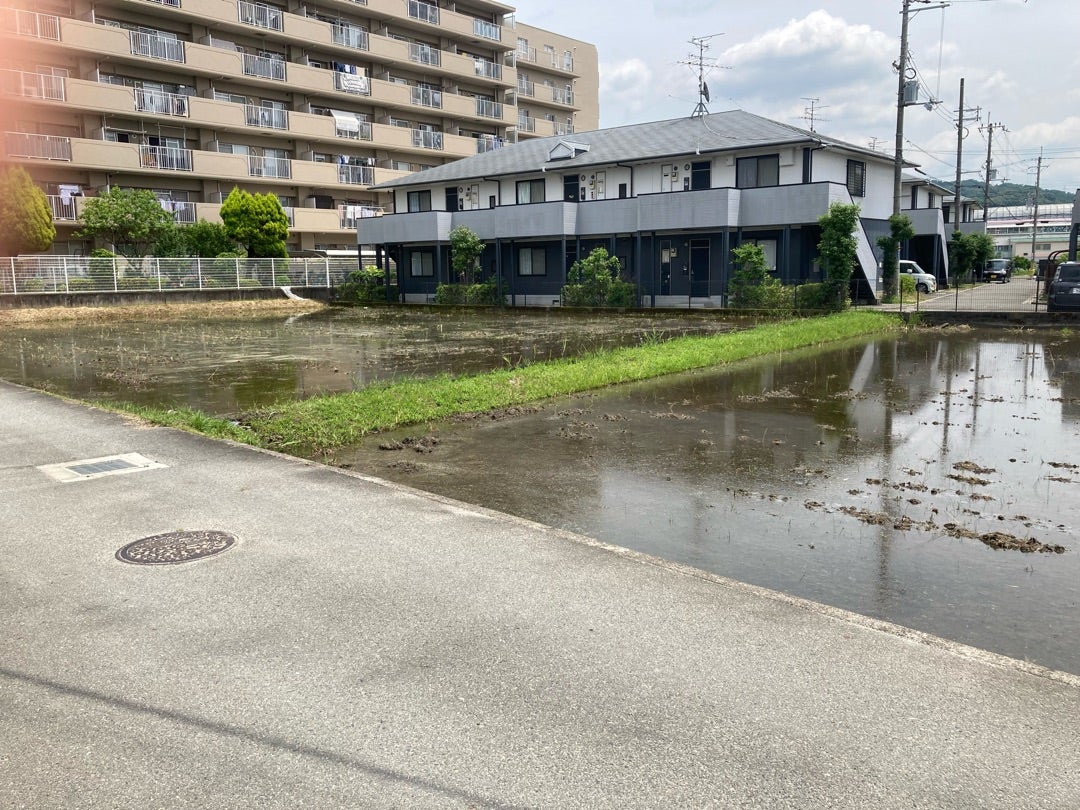 写真:田植えを待つたんぼ
